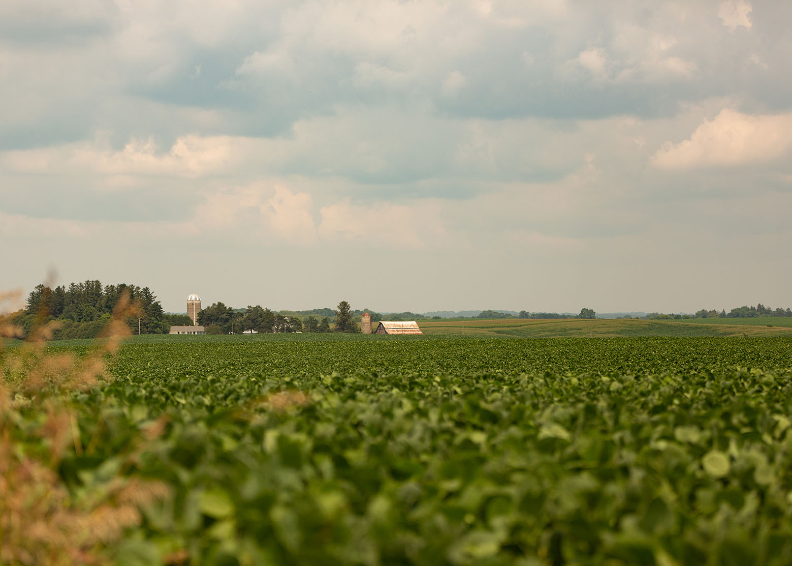ISA Iowa Farmland Values Skyrocket 29 in 2021